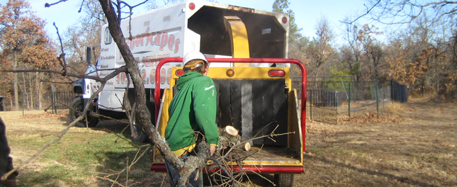 Home Arborscapes Tree Service 